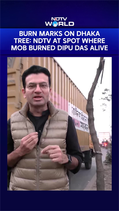 Video : Bangladesh Unrest | Burn Marks On Dhaka Tree: NDTV At Spot Where Mob Burned Dipu Das Alive