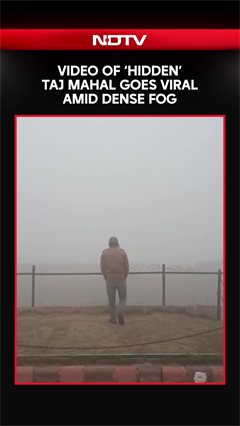 Viral Video: Video Of 'Hidden' Taj Mahal Goes Viral Amid Dense Fog