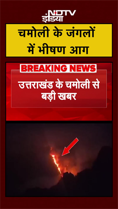 चमोली के जंगलों में भीषण आग | Uttarakhand News | #shorts #ytshorts