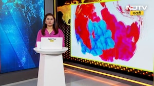 Palghar मध्ये वनविभागाचा अजब कारभार, जंगल उभारणीसाठी DPDC मधून 1 कोटीचा निधी