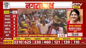 Vijay Wadettiwar | ''चंद्रपूर काँग्रेसचा जिल्हा, डुप्लिकेट वाघाला लोकं थारा देत नाहीत''- वडेट्टीवार