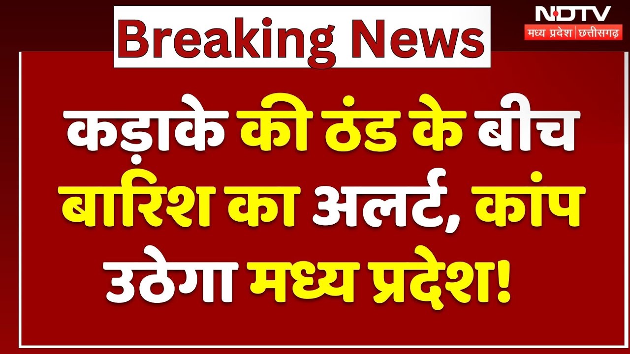 MP Weather Alert: घना कोहरा, कड़ाके की ठंड के बीच बारिश का अलर्ट! | Cold Wave | Winter | MP | Latest