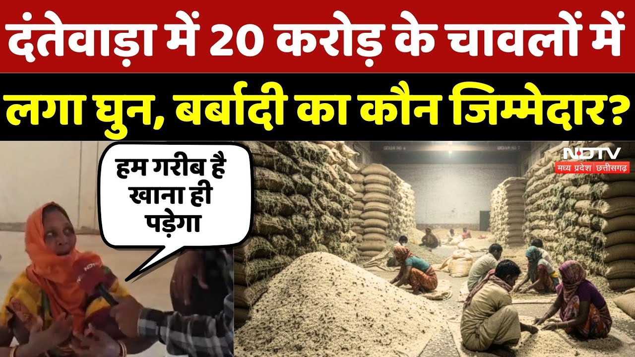 CG Rice Warehouse Damage: 20 करोड़ के चावल सड़कर बर्बाद! | Rice | Latest | PDS Rice Scam in CG | Top