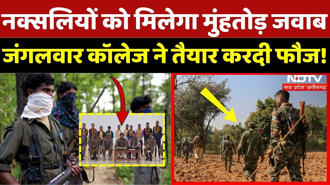 Naxalism in Chhattisgarh: जंगलवार कॉलेज दे रहा जवानों को फ्री ट्रेनिंग! | Naxalism | Naxali | Top