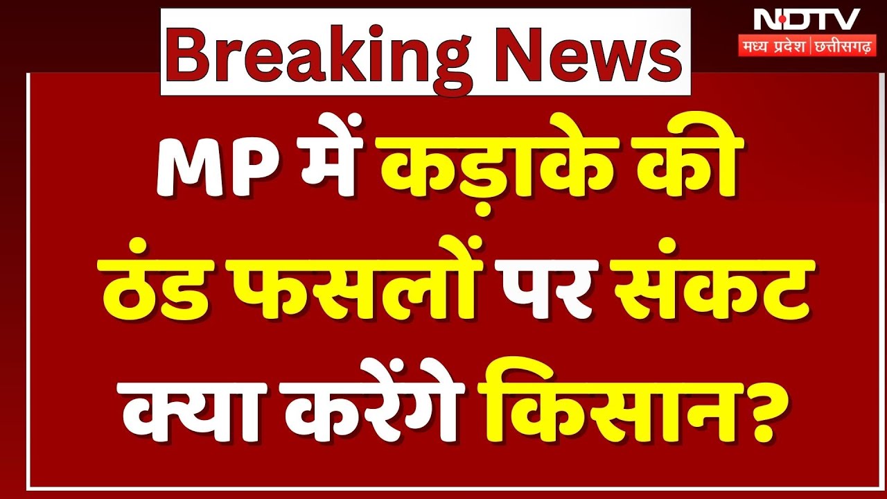 MP Weather Alert: कड़ाके की ठंड फसलों पर संकट, क्या करेंगे किसान?| Farmers | Cold Wave | Winter | MP