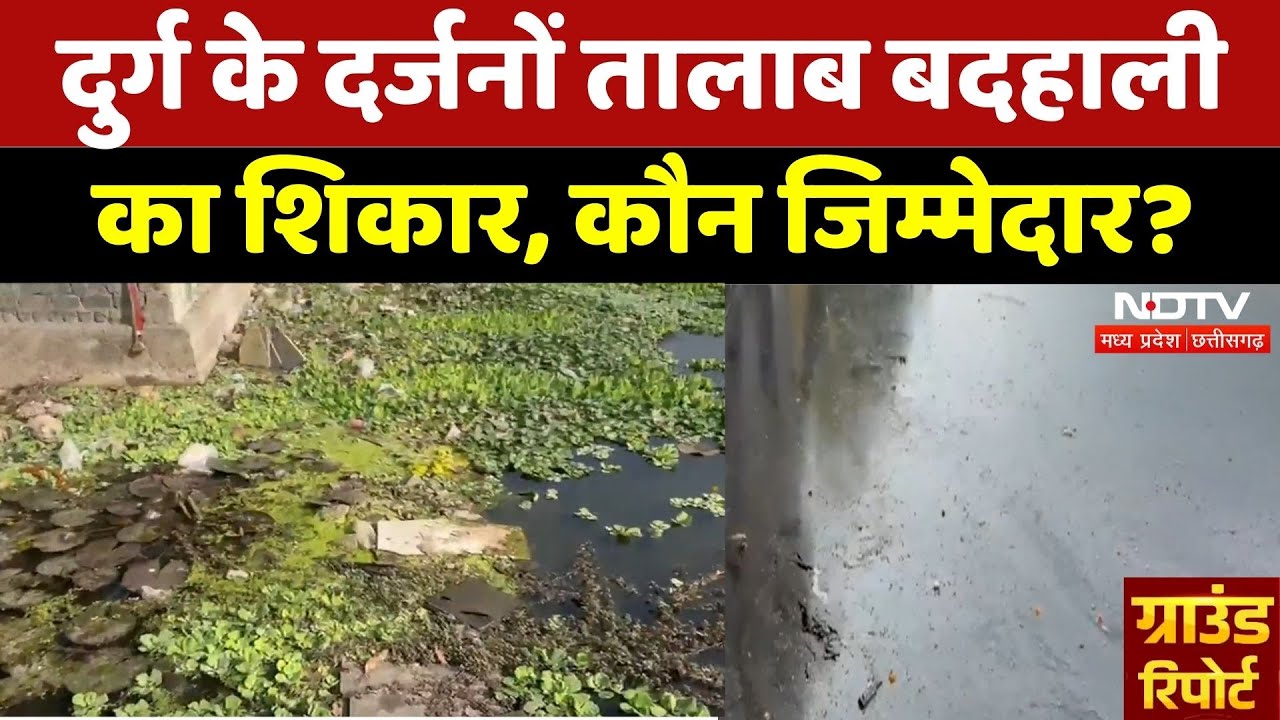 Durg News: मछलियां मर गईं, मच्छर उड़ रहे, तालाब बने कूडेदान!| Chhattisgarh News | Latest | NDTV MPCG