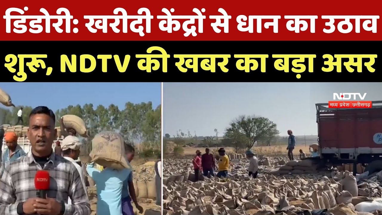 Dindori Dhan Kharidi: खरीदी केंद्रों से धान का उठाव शुरू, NDTV की खबर का बड़ा असर | Chhattisgarh
