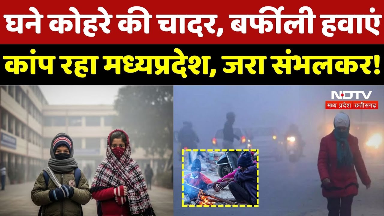 MP Weather Alert: घने कोहरे की चादर में लिपटा मध्यप्रदेश! | Winter | Cold Wave | Fogg Alert | Latest