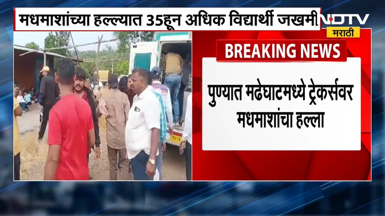Pune Bee Attack | पुण्यातील राजगडच्या मढेघाट परिसरात ट्रेकर्सवर मधमाशांचा हल्ला ।  NDTV मराठी