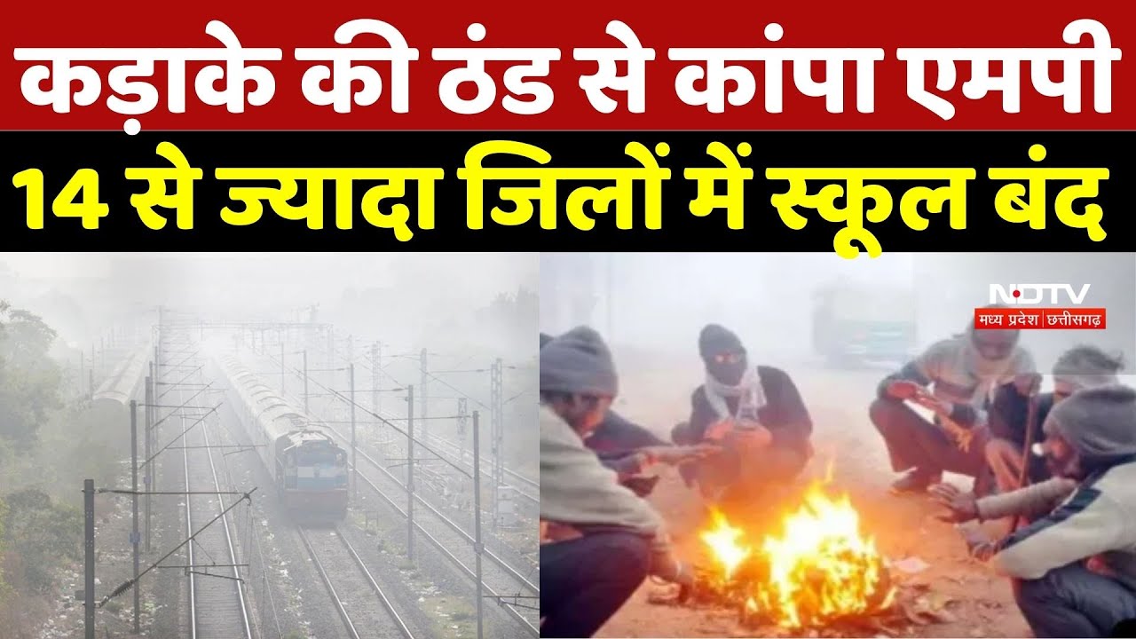 MP Weather Alert: कड़ाके की ठंड से कांपा एमपी, 14 से ज्यादा जिलों में स्कूल बंद | Breaking |Top News