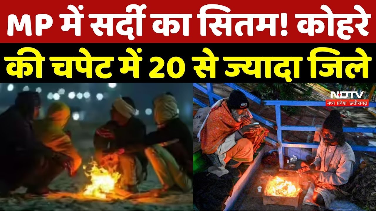 MP Cold Wave: MP में सर्दी का सितम! कोहरे की चपेट में 20 से ज्यादा जिले | Weather Update | Fog Alert