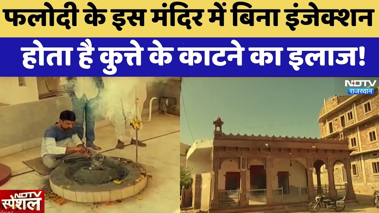 Phalodi के इस Temple में बिना Injection  होता है कुत्ते के काटने का इलाज! | Top News | Rajasthan