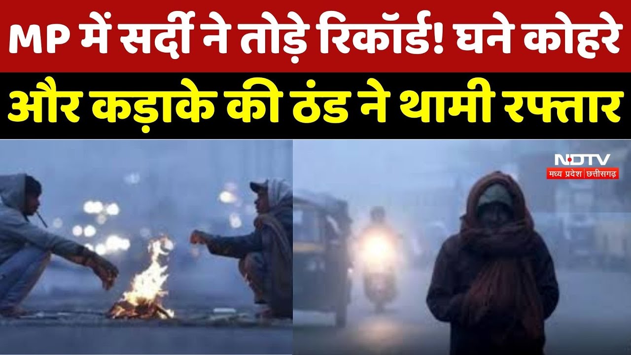 MP Weather : सर्दी ने तोड़े Record ! घने कोहरे और कड़ाके की ठंड ने थामी रफ्तार
