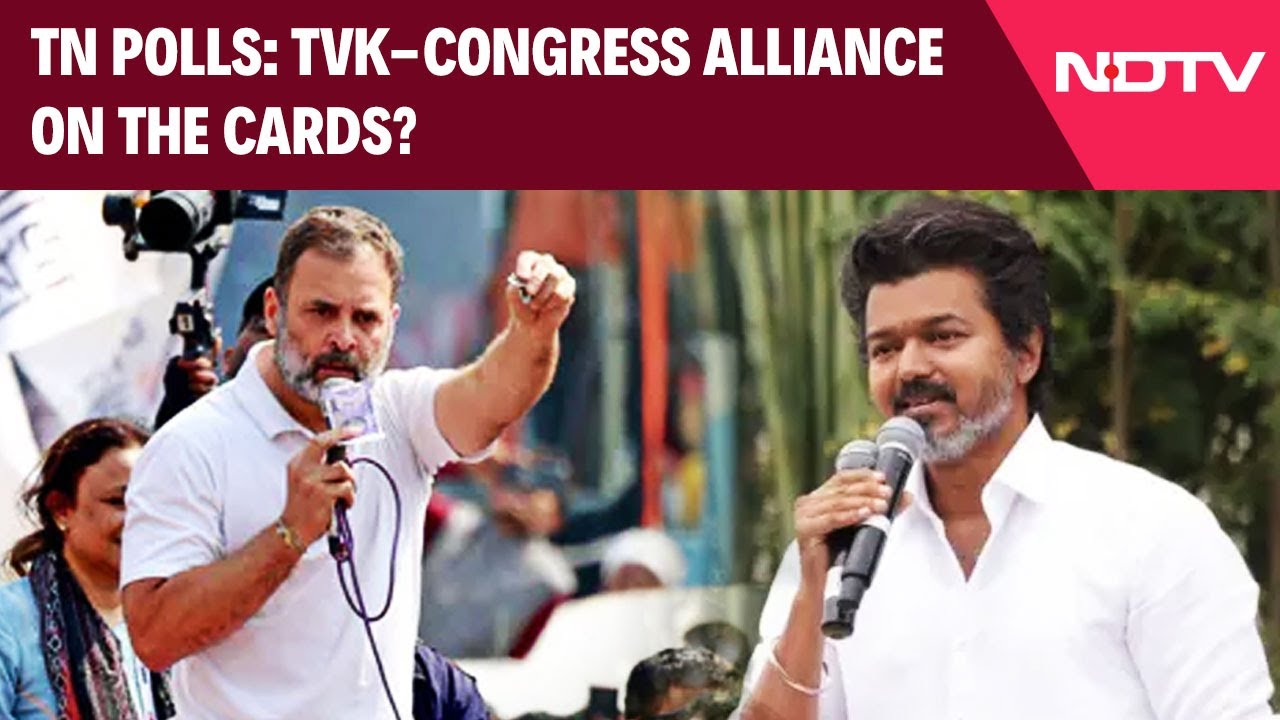 TVK Backs Congress Power-Sharing Pitch, Fuels Alliance Buzz In Tamil Nadu