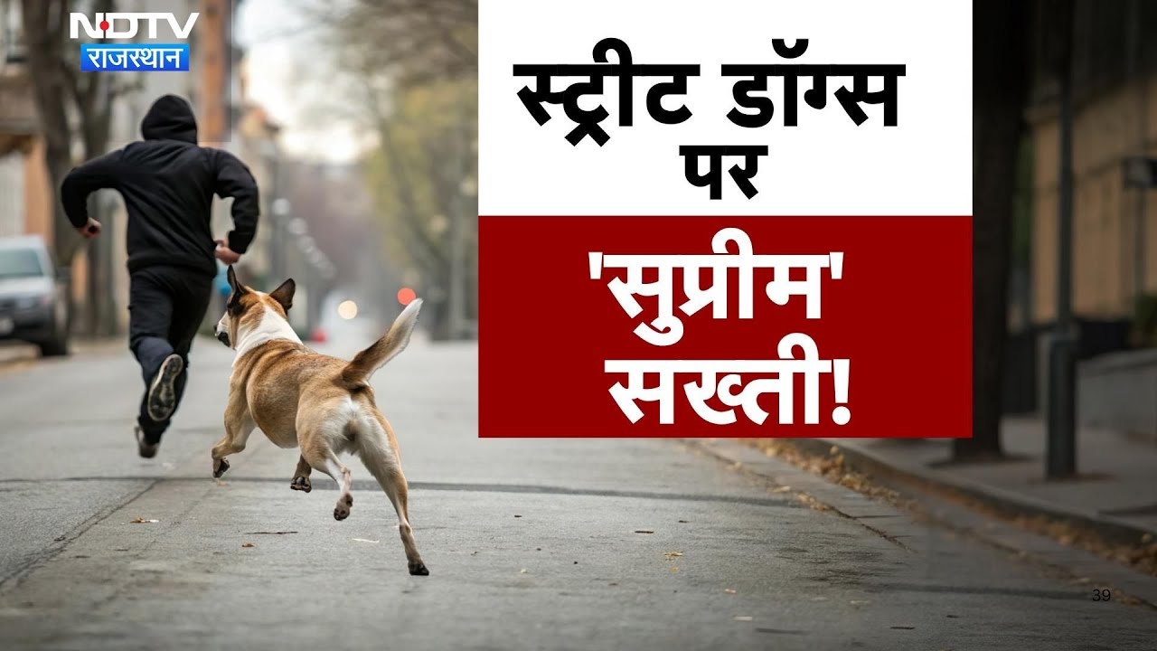 Street Dogs: सड़कों से हटेंगे आवारा कुत्ते? Supreme Court ने राज्यों को दिए सख्त निर्देश | Top News