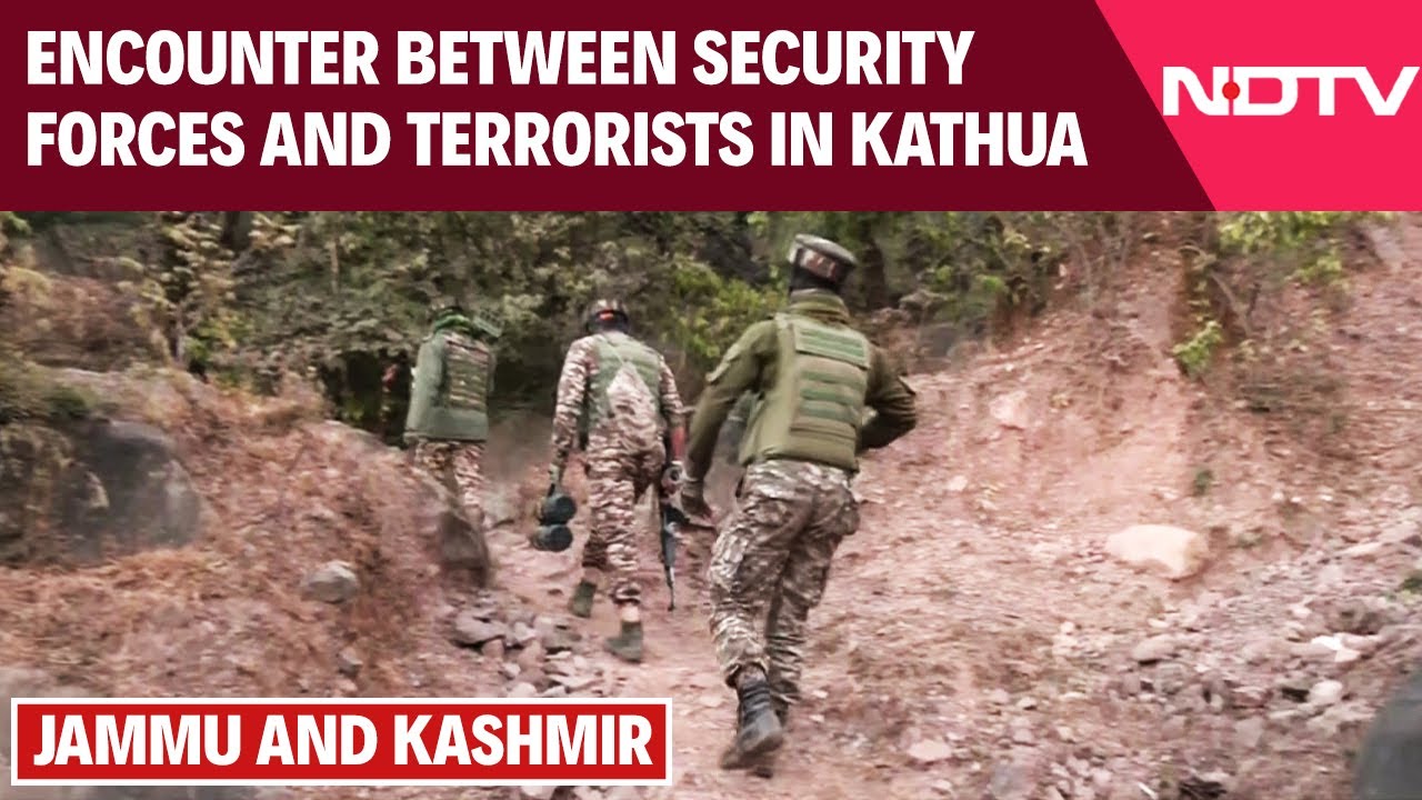 J&K News | Encounter Between Security Forces And Terrorists In Kathua, Search Operation Underway