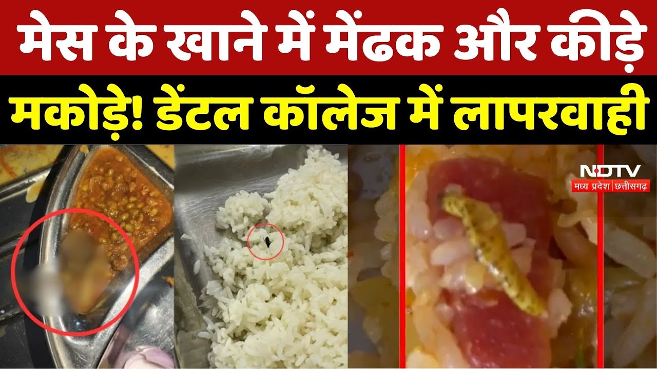 Rajnandgaon News : Dental College के खाने में मिला Frog, Food Department की बड़ी कार्रवाई