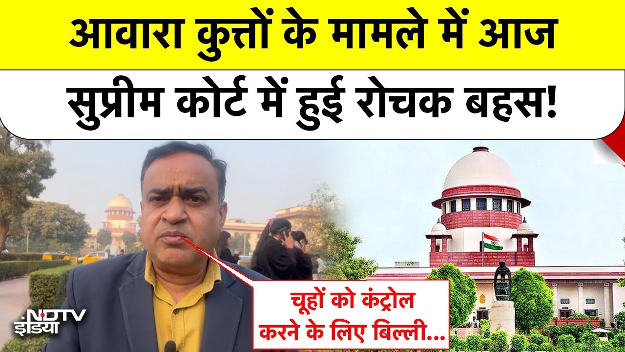 Supreme Court News: आवारा कुत्ते मामले की सुनवाई के दौरान कहां से आई चूहे, बिल्ली की बातें?