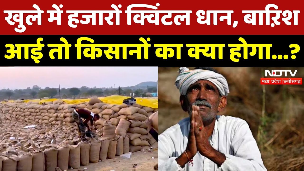 Dhan Kharidi 2025: खुले में हजारों क्विंटल धान, किसानों की बढ़ रही चिंता| Farmer | Chhattisgarh News