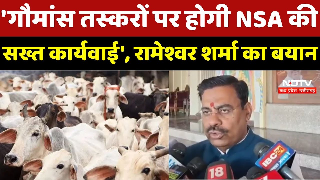 Bhopal Beef Scandal: 'गौमांस Smugglers पर होगी NSA की सख्त कार्यवाई', Rameshwar Sharma का बयान | MP
