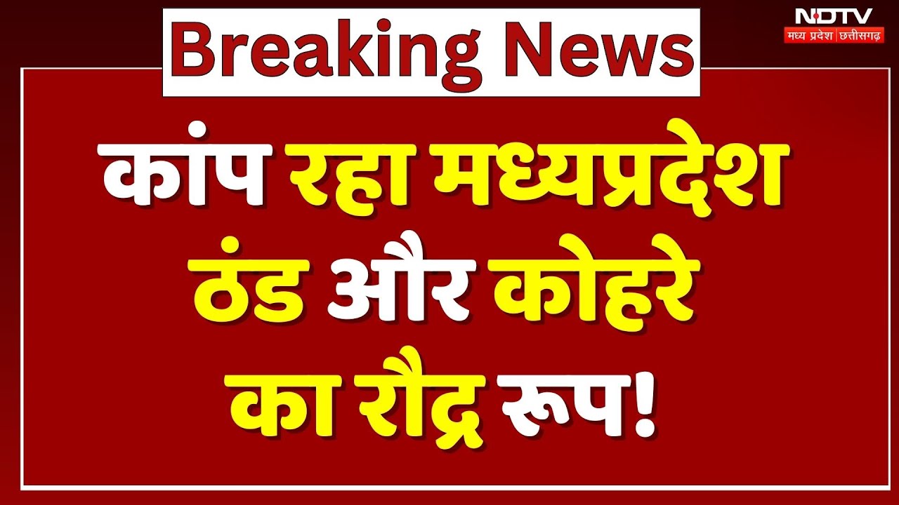 MP Weather Alert: हड्डियां गलाने वाली ठंड, कांप रहे ये जिले! | Cold Wave | Winter | Fogg | Farmers