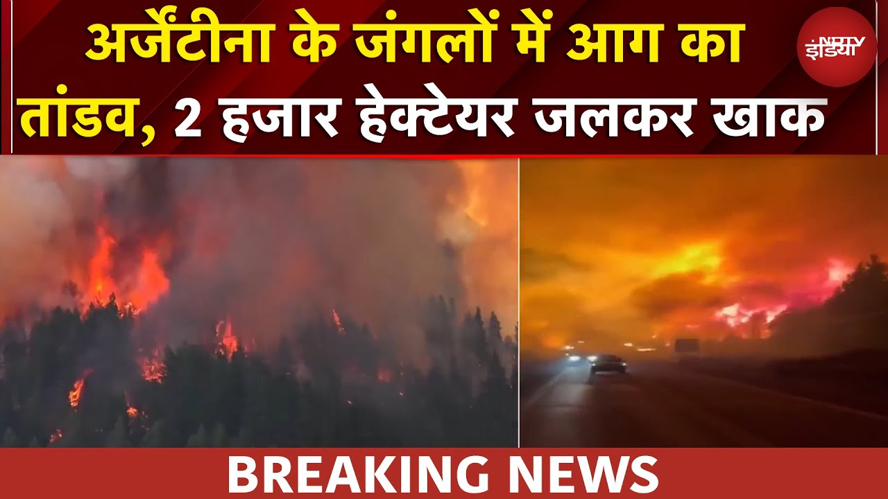 Argentina Forest Fire: अर्जेंटीना के जंगलों में भीषण आग, कई हजार हेक्टेयर जलकर खाक | BREAKING NEWS