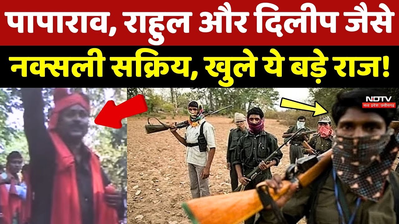 Naxal News: Paparao, Rahul और Dilip जैसे Naxalite सक्रिय, खुले ये बड़े राज!