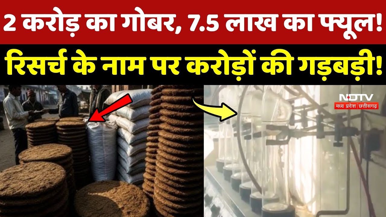 Jabalpur Scam News: 2 करोड़ का Cow dung, 7.5 लाख का Fuel! Research के नाम पर करोड़ों की गड़बड़ी