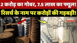Jabalpur Scam News: 2 करोड़ का Cow dung, 7.5 लाख का Fuel! Research के नाम पर करोड़ों की गड़बड़ी