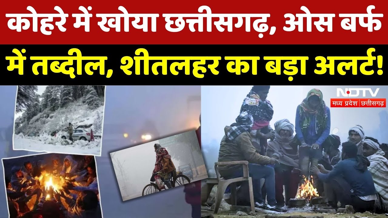 CG Cold Wave Alert: ठंड का कहर, घने कोहरे के बीच शीतलहर का बड़ा अलर्ट! | Winter | Weather | Top News