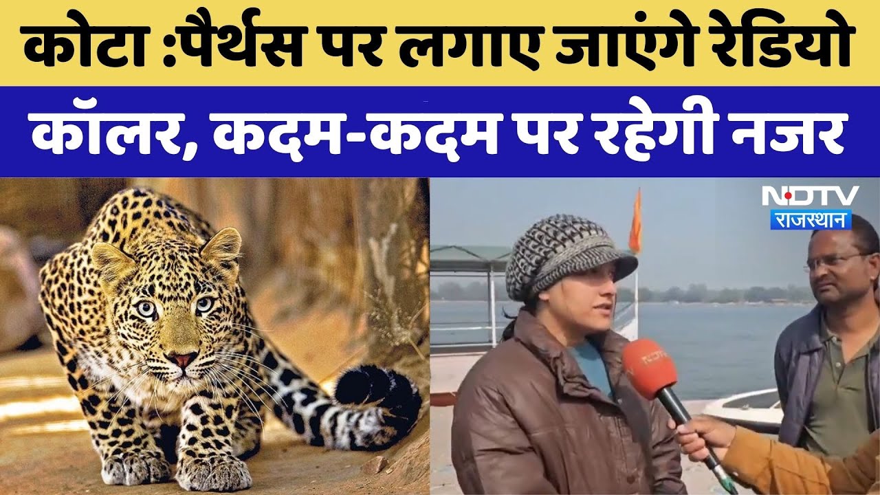 Kota News: Parthus पर लगाए जाएंगे Radio Collar | Rajasthan Top News | Latest News