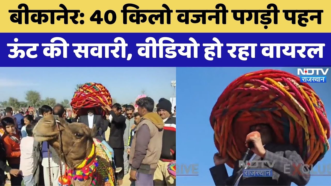 Bikaner Camel Festival: 40 किलो वजनी पगड़ी पहन ऊंट की सवारी, Video Viral | Rajasthan Top News