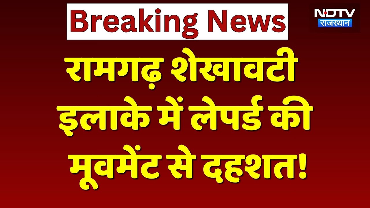 Leopard Viral Video: रामगढ़ शेखावटी इलाके में लेपर्ड की मूवमेंट, दहशत में आए लोगो! NDTV Rajasthan