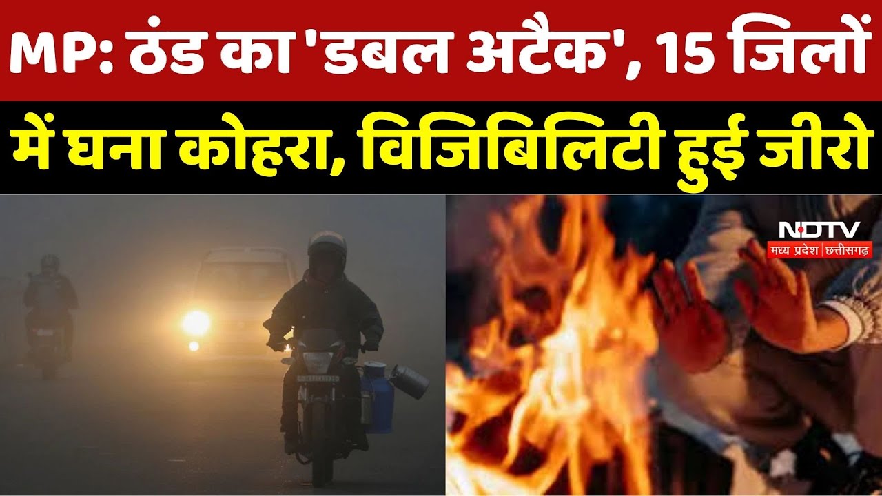 MP में ठंड का 'Double Attack', 15 Districts में छाया घना कोहरा, Visibility हुई Zero