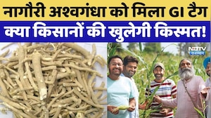Nagauri Ashwagandha को मिला GI Tag, क्या किसानों की खुलेगी किस्मत! | Top News