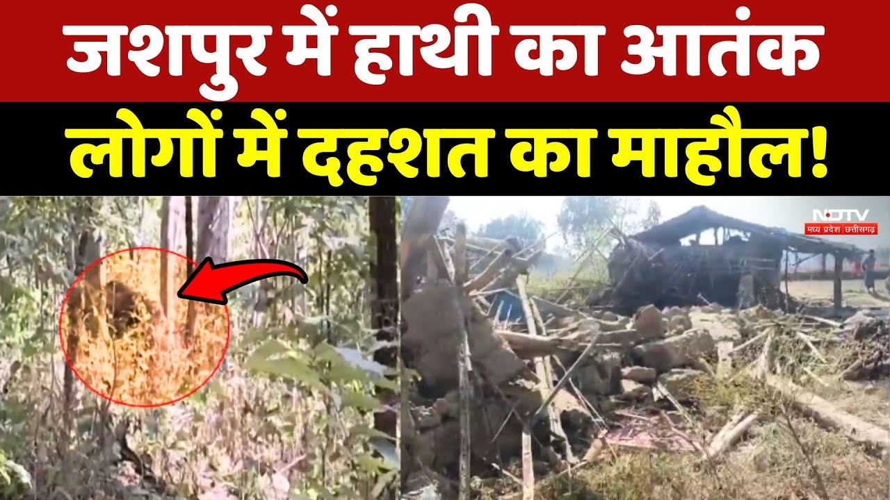 Elephant Attack In Jashpur: जशपुर में हाथी का आतंक, लोगों में दहशत का माहौल!
