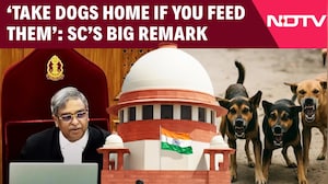 Supreme Court On Dogs | SC's Big Remark: 'Take Dogs Home If You Feed Them'