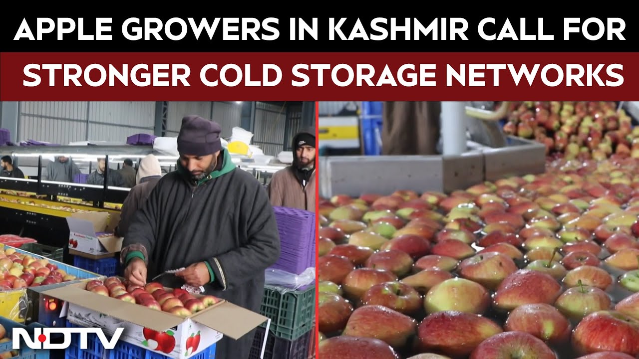 Apple Growers In Kashmir Call For Stronger Cold Storage Networks