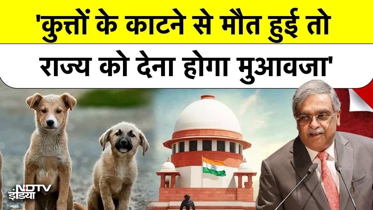 Supreme Court on Stray Dogs: 'कुत्तों के काटने से मौत हुई तो राज्य को देना होगा मुआवजा'
