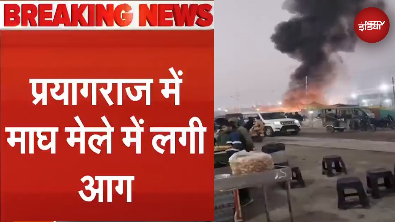 Magh Mela Fire: प्रयागराज में माघ मेले में लगी भीषण आग | Breaking News | Prayagraj Fire News