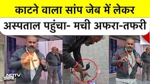 Snake Bite in Mathura: सांप ने काटा तो पकड़कर जैकेट में रखा और पहुंच गया डॉक्टर के पास!