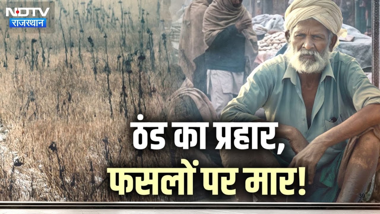 Rajasthan में सर्दी बनी आफत, शीतलहर और पाले से रबी की फसलें तबाह | Cold Wave | Farmer Crisis