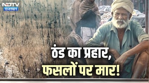 Rajasthan में सर्दी बनी आफत, शीतलहर और पाले से रबी की फसलें तबाह | Cold Wave | Farmer Crisis