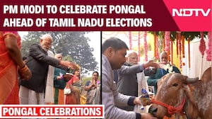 Pongal News | Harvest Festival, Poll Pitch: PM To Celebrate Pongal Ahead of Tamil Nadu Elections