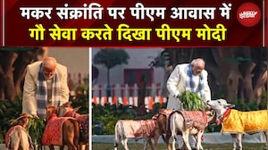 PM Modi Cow Feeding Video: Pongal के बाद PM ने मकर संक्रांति पर भी की गौ सेवा | Viral Video | PMO