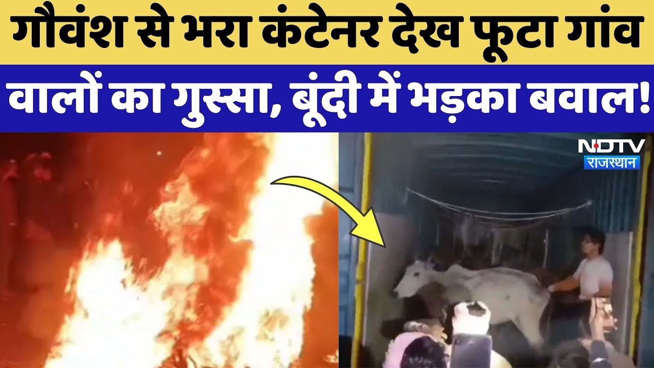 Bundi News: हंगामा और आगजनी, गौवंश से भरा कंटेनर देख फूटा गांववालों का गुस्सा! Rajasthan News