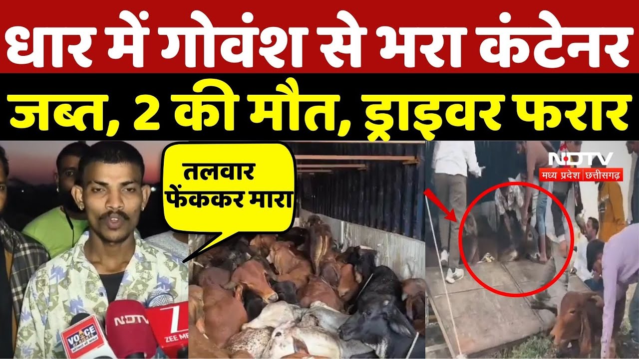 Dhar News: धार में गोवंश से भरा कंटेनर जब्त, 2 की मौत, Driver फरार | Gowansh Smuggling | Top News