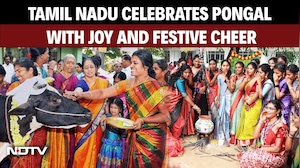 Tamil Nadu Erupts In Joy To Celebrate The Traditional Harvest Festival Of Pongal