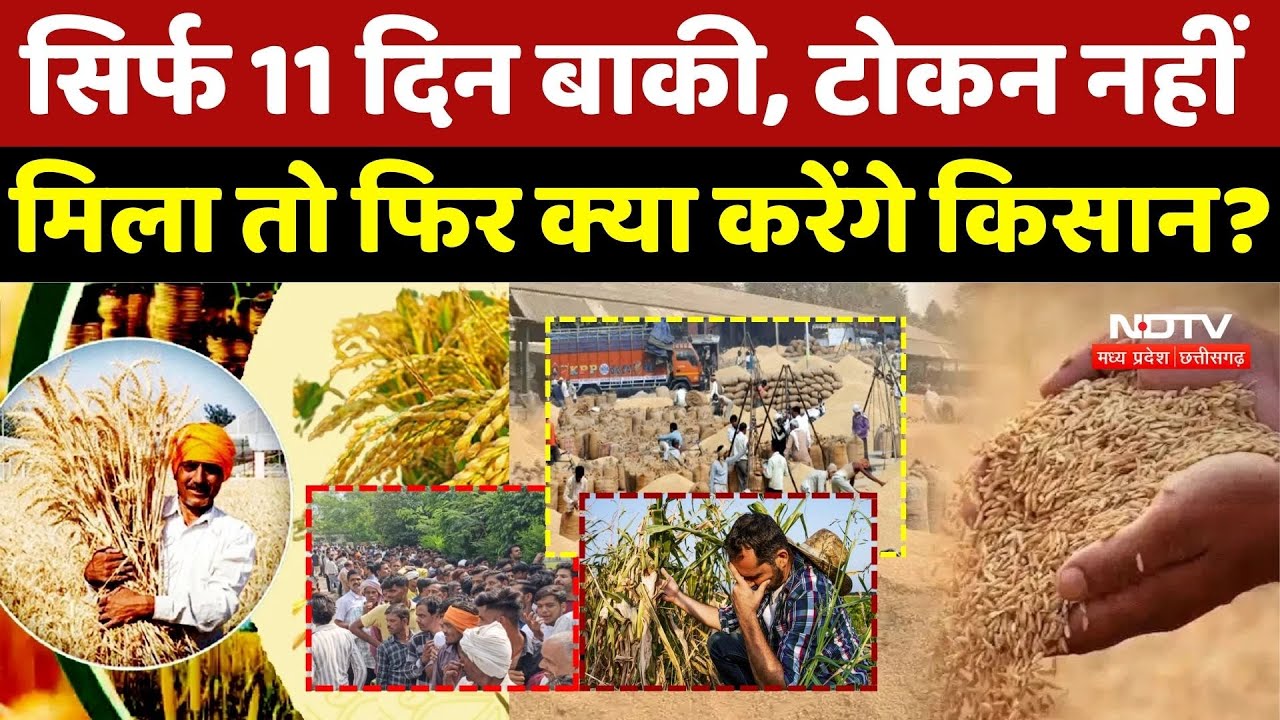 Dhan Kharidi: 11 दिन बाकी, टोकन के इंतजार में लाखों किसान! | Chhattisgarh | Korba | Dhamtari | Top