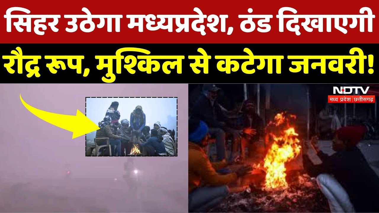 MP Weather Alert: सर्द हवाएं, कड़ाके की ठंड से लोगों का बुरा हाल! | Cold Wave | Winter | Fogg | Top